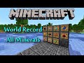 I Set a Minecraft World Record