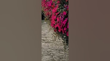 ارح سمعك ايه من #سورةالفرقان