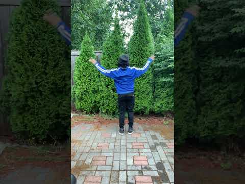 KingDow — Session. #dancerlife #dancereels #afrobeats #afrobeat