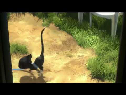 BEAT IT STUPID CAT *explosion*