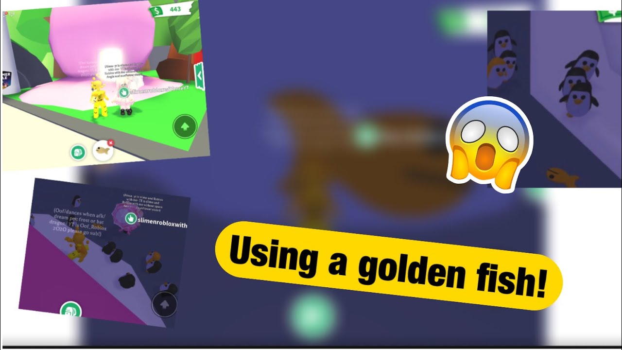 Fish Script Adoptme Using a fish in adopt me! - YouTube
