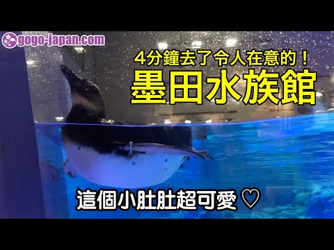 【日本旅遊】4分鐘去了令人在意的！晴空塔 墨田水族館