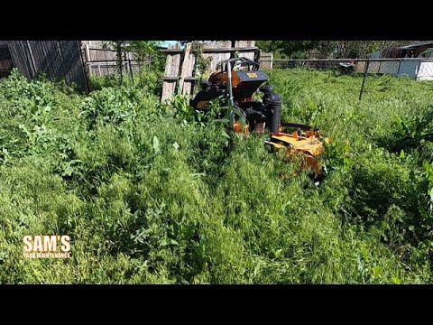 Helping out struggling neighbor | Overgrown backyard cleanup | Tall grass mow | Oddly Satisfying