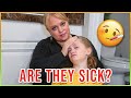 Are They Sick? | We Feel Bad For Them!