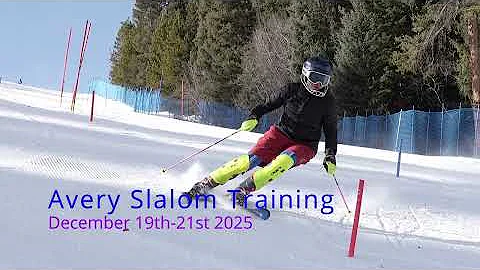 Avery SL 12 19 to 21 25