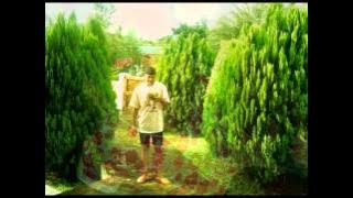 Otis Sax - Gaia Moçambique