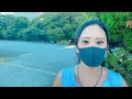 野良猫LIVE（狐も居た）