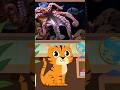 Fun Facts About Octopus #funfacts #factsforkids #kidslearning #kidsvideo