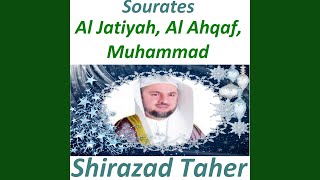 Sourate Al Jatiyah