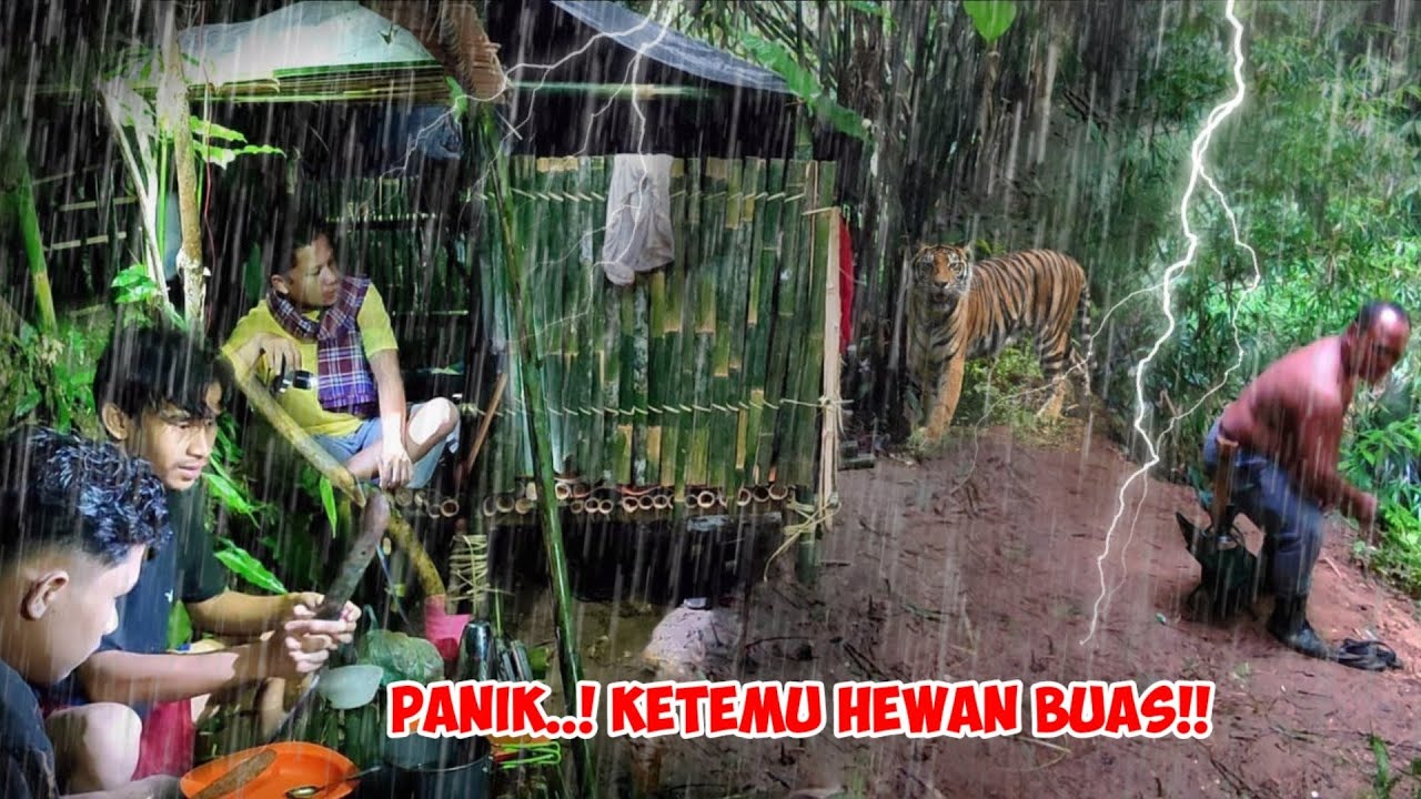 camping hujan deras // ketakutan!!didatangi harimau sumatra?? with @DUO JEJAK PETUALANG ASMR