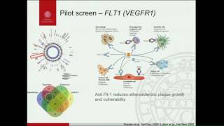 M den Hoed: An essential splice site mutation in flt1 protects against early-stage atherosclerosis.