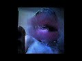 [free for profit] ambient + sample type beat “i see things”