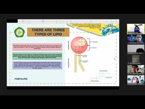 4. Struktur, Fungsi dan Metabolisme lipid