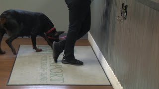 Purdue officials say there is a shortage in veterinarians