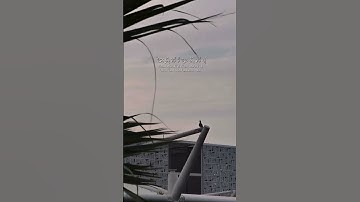 أحمد النفيس -سورة الأحزاب