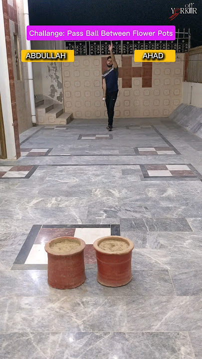 Ahad Ko Challenge Bhari Parh Gaya 😂| Pass Ball Between Flower Pots 🪴🪴 - Off Yorker #youtubeshorts