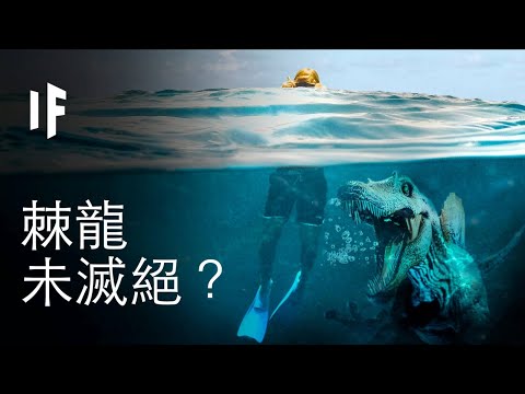 【中文男聲配音】如果棘龍從未滅絕？｜大膽科學