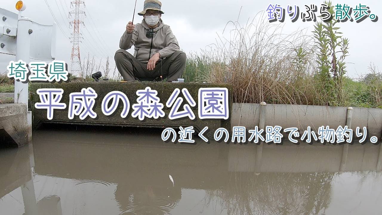 マス 釣り場 埼玉