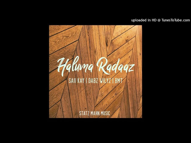 Haluma Radaaz (2023)-Saii Kay ft. Dabz Wilyz x BMT (Statz Mahn Music) #png #musik #remake class=