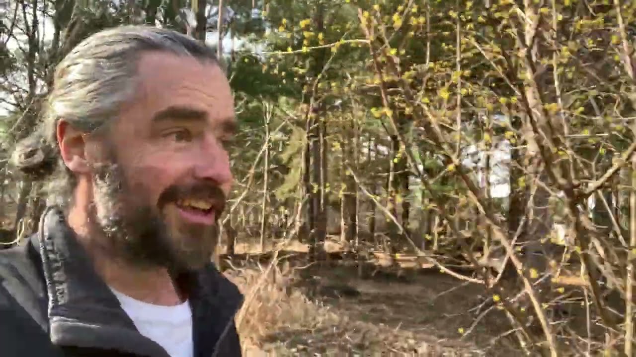 Spring wander through main site