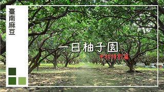 中秋特別篇 一日柚子園