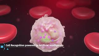 Complete Blood Count in Minutes (3D medical animation) 2023 by Arcreative 3,228 views 1 year ago 1 minute, 51 seconds