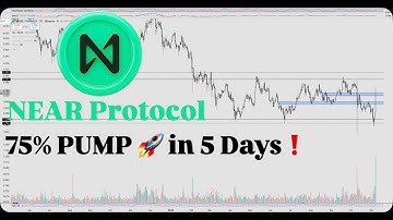 NEAR Protocol EXPLODES 35% in a Day! Here’s What’s Coming Next