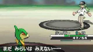 Pokemon Black and White(JPN) VS N