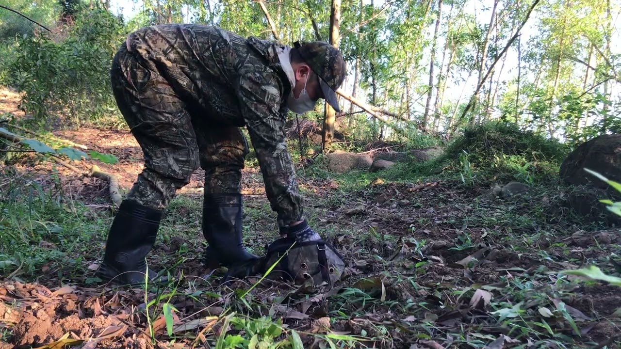 ngày 16 tháng 1, 2026