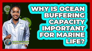 Why Is Ocean Buffering Capacity Important For Marine Life? - Earth Science Answers