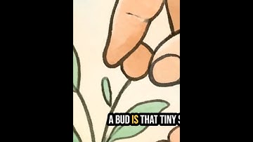 Nip it in the bud - meaning and usage