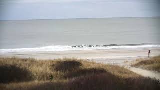 Brigantine, NJ on #CoastalCameraNetworks - 01/29/20