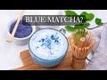 What is blue matcha how blue matcha is made and how it compares to regular matcha