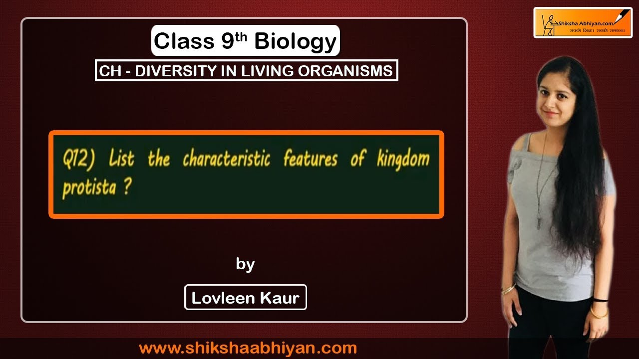 Q12 List the characteristic features of kingdom protista. - YouTube