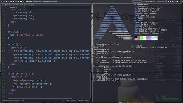 ArcoLinux : 917 set-pywal.sh script on Qtile explained