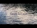 藤原ヒロシ Hiroshi Fujiwara Natural Born Dub 藤原ヒロシ Hiroshi Fujiwara Natural Born Dub