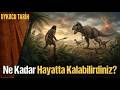 Dinozorlar Çağında Doğsaydınız: Ne Kadar Hayatta Kalabilirdiniz? I Uykucu Tarih