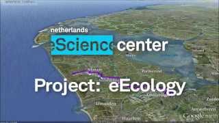 eEcology: Inspiration & discovery in ecology