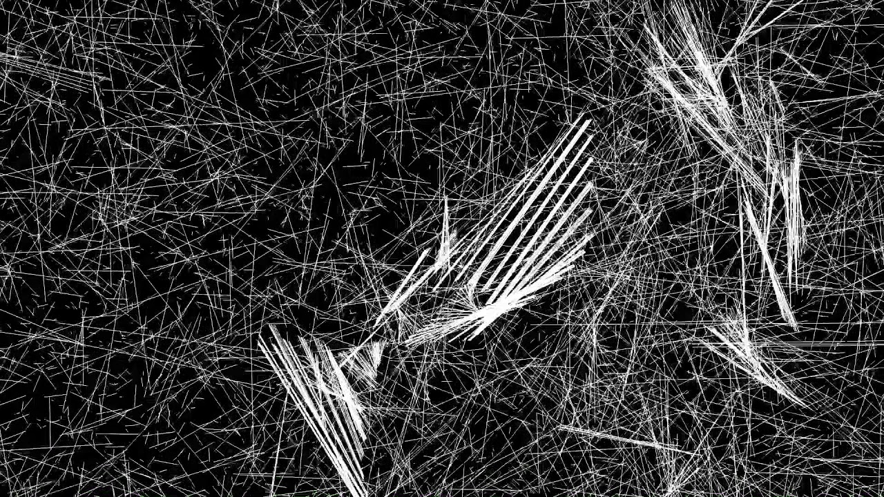 SDJ19 Kali - Bist Du Ein Schmetterling?