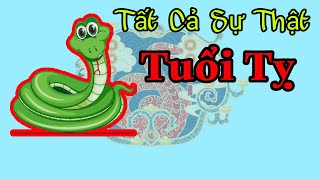 Tất Cả Sự Thật Và Bí Mật Của Người Tuổi Tỵ