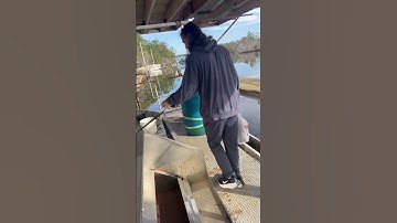 House boat barge. 1st day of gutting Project Blue Cat.
