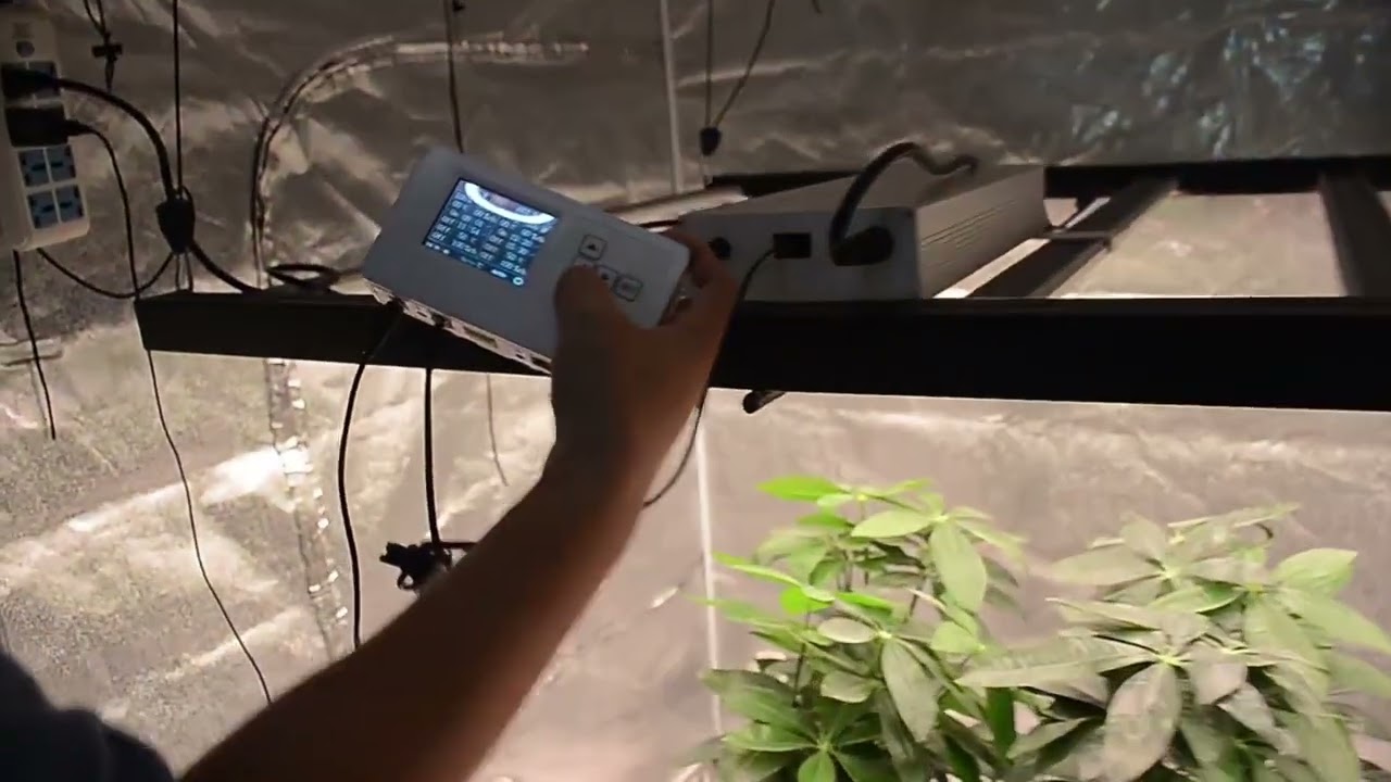 LED commercial grow lights for plants