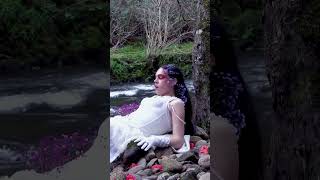 Chegou a primavera - Producción Original de Sentidiño