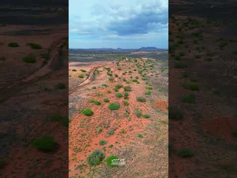 العمر محسوب والارزاق مكتوبه وأحلامنا واقــفــه يالله تكتبها 