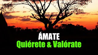 Ámate, Quiérete y Valórate ¦ Gratitud, Frases, Reflexiones, Versos, Reflexión