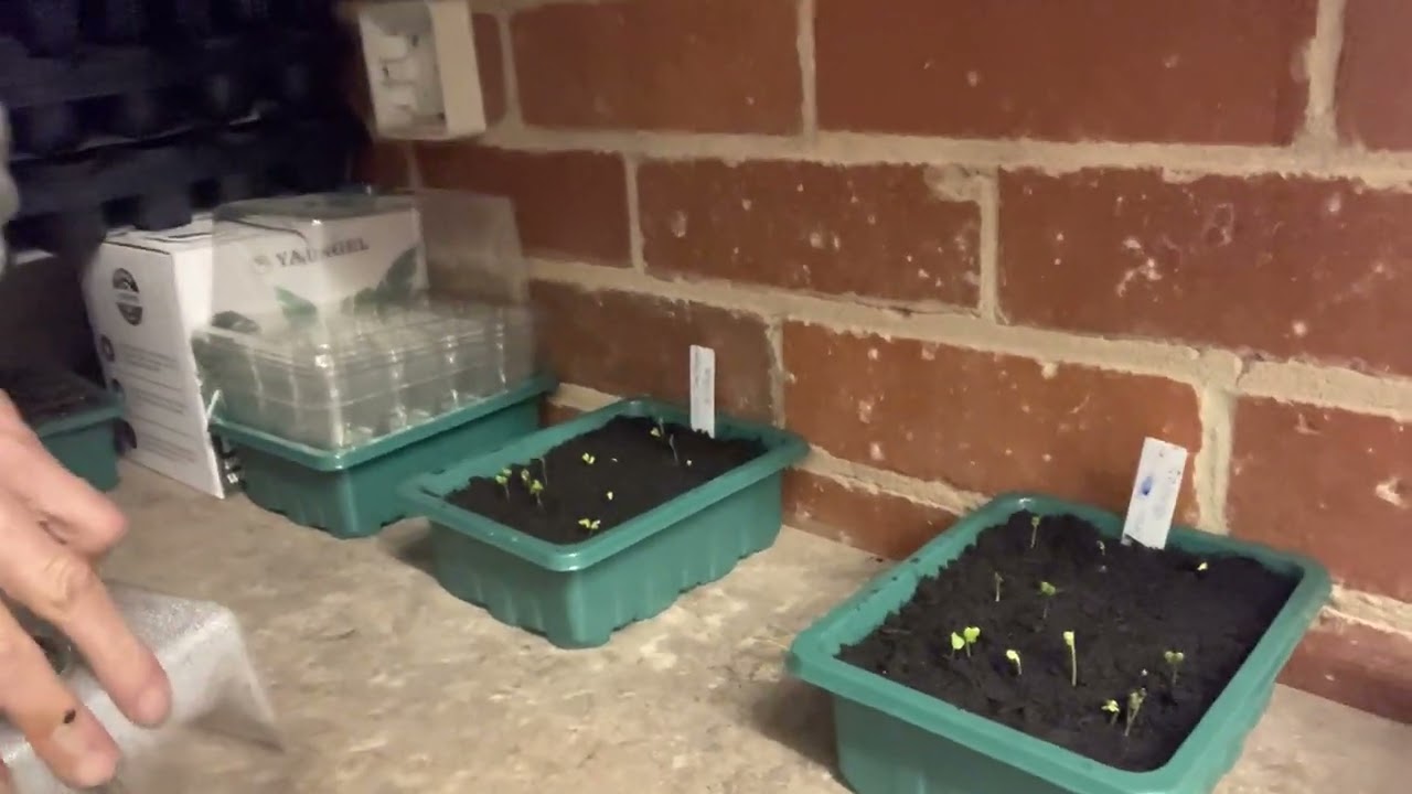 Yaungel LED Propagator review (light switch on). Part 2