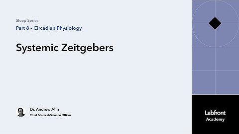 Sleep 8.4 | Systemic Zeitgebers: How the SCN Coordinates the Body