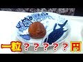 一粒？？？？？円高級梅を食べてみた！！！