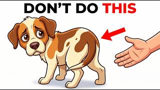 5 Mistakes That Are Slowly Ruining Your Dog’s Confidence