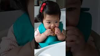 schweetpea | baby led weaning DAY 41 - baby mukbang | zucchini sweet potato muffins | 31 weeks old